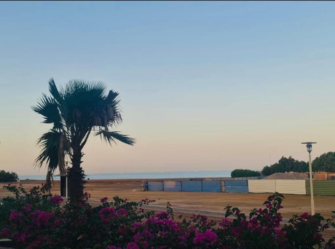 New Overlooking The Marina In Elgouna Apartment