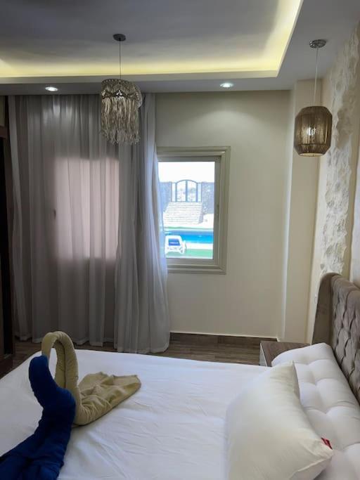 Small Lovely Cheerful Close To El Gouna