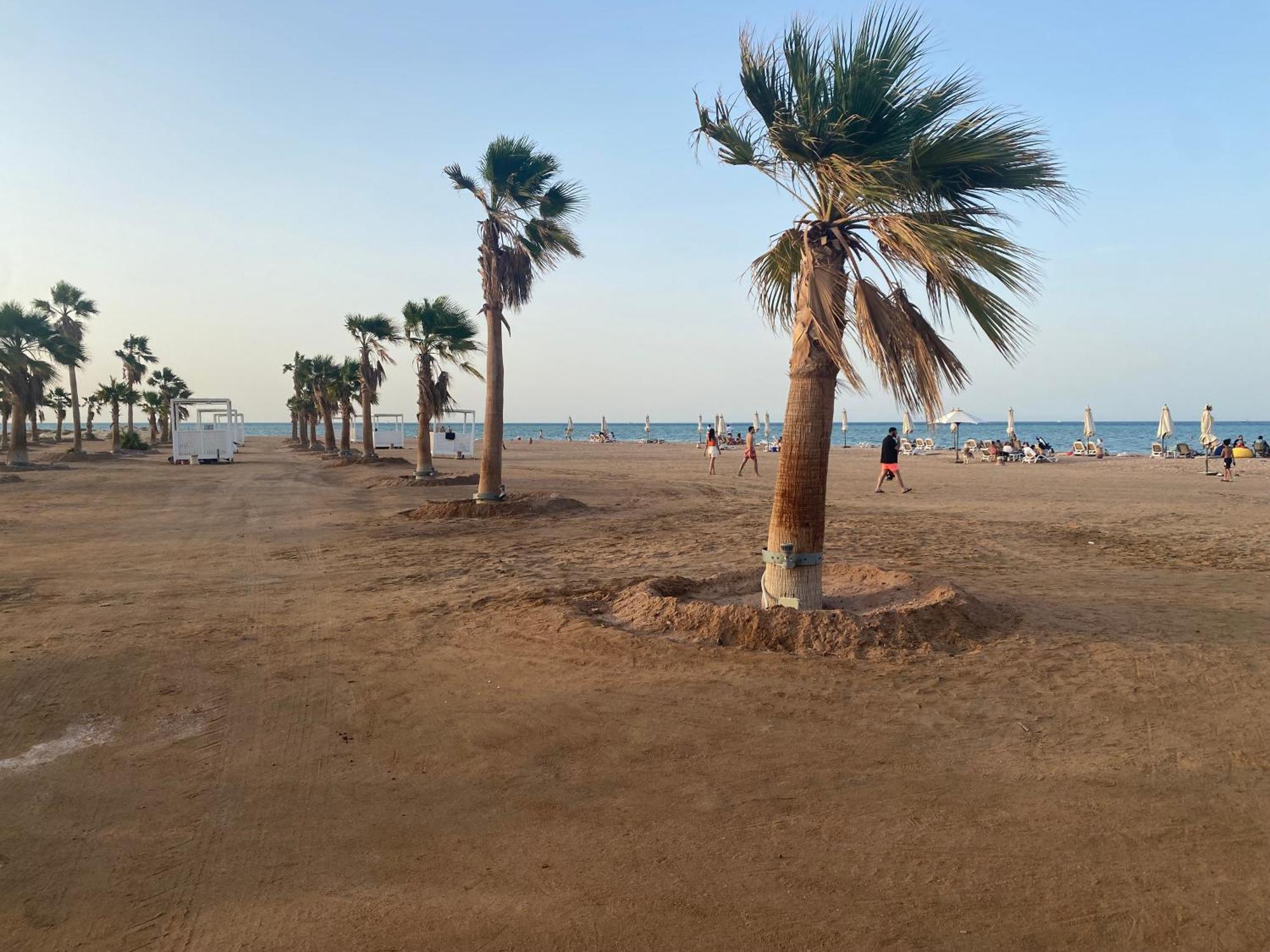 Mangroovy Retreat Apartment Hurghada
