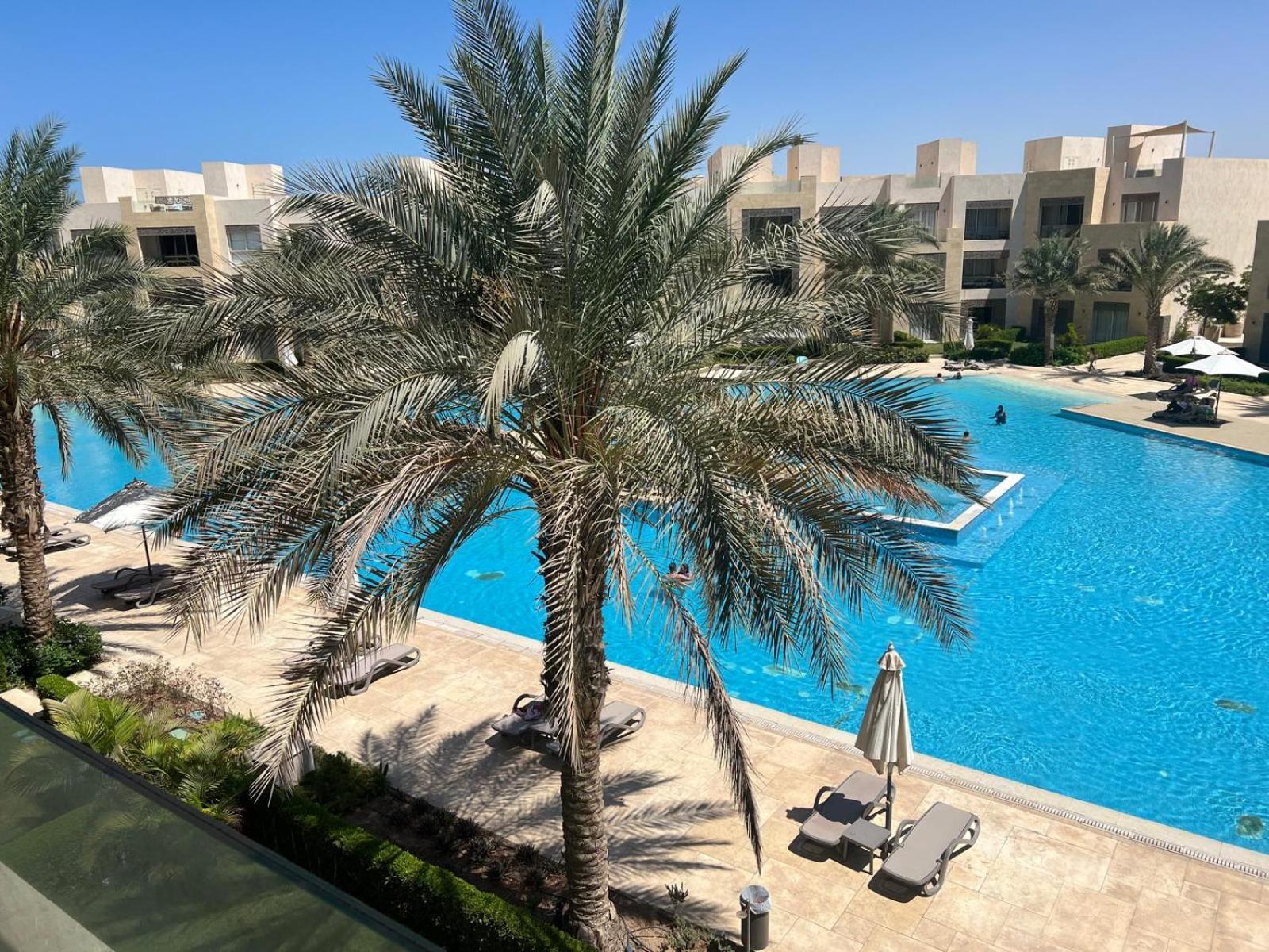 الجونة