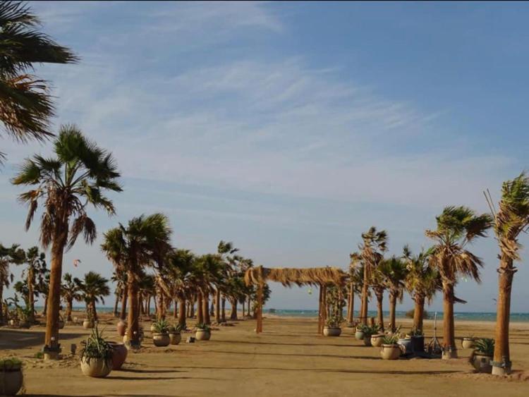 Mangroovy - Elgouna Authentic Designer Shared 2 Bdr Each With Private Bathroom For Kitesurfers With Pool View & Access Accommodatie bij particulieren