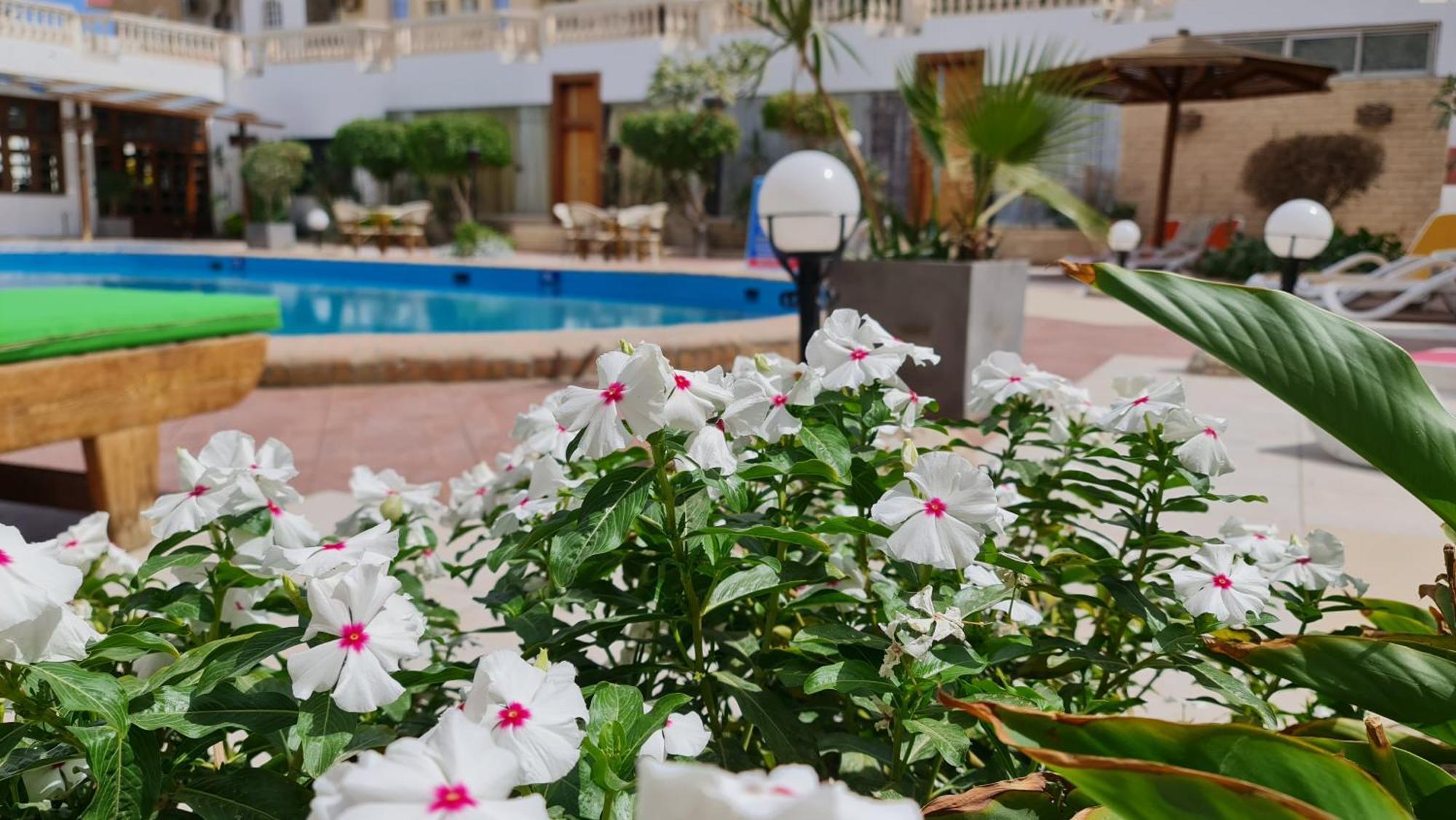 Zak Apartment Hurghada