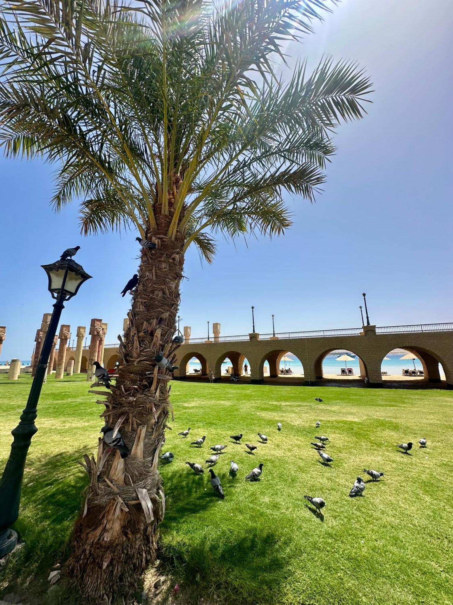 El Andalous Sea View Sahl Hasheesh Apartment Hurghada