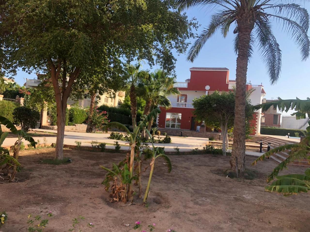 5 In Magawish Villa