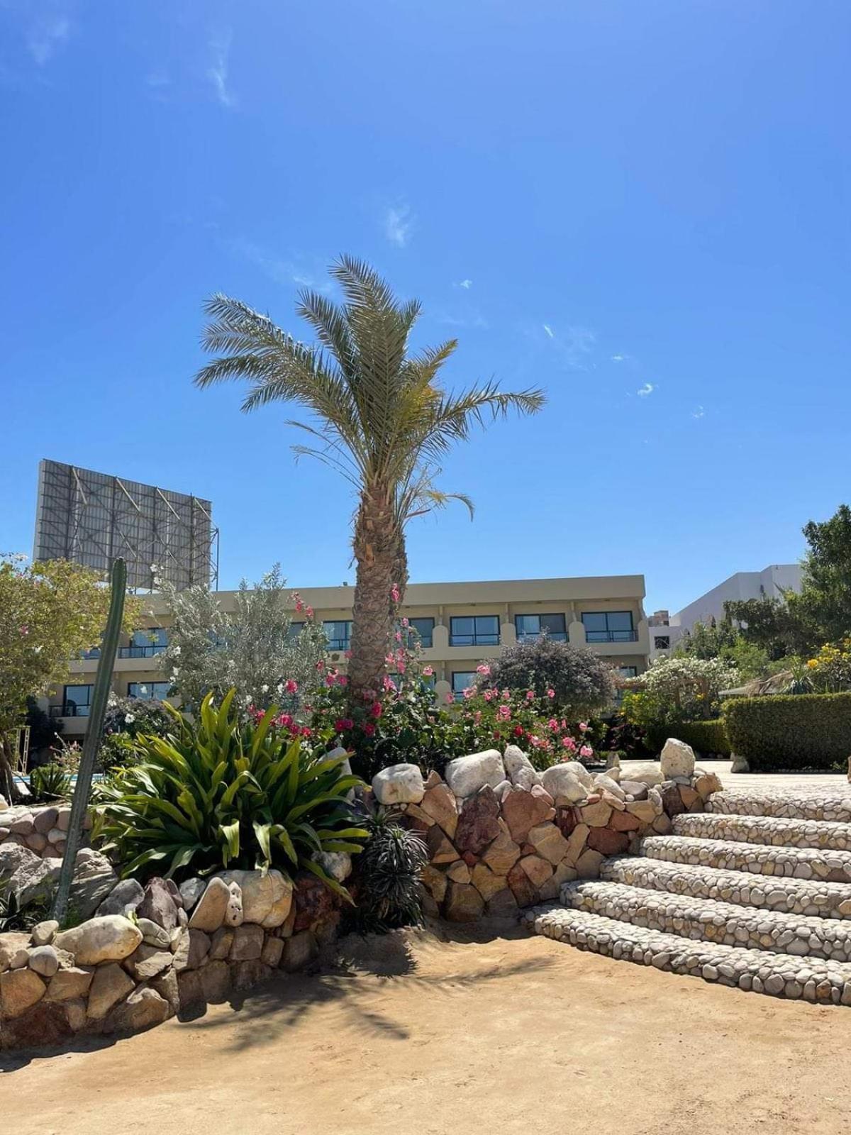 For Rent 202 Apartment Hurghada