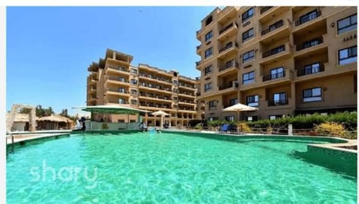 Turtles Hourghada View Sea View Pool Private Jacuzzi Pools Air-conditioned Restaurant On The Jacuzzi Security And A Large Sunny Balcony * Hurghada