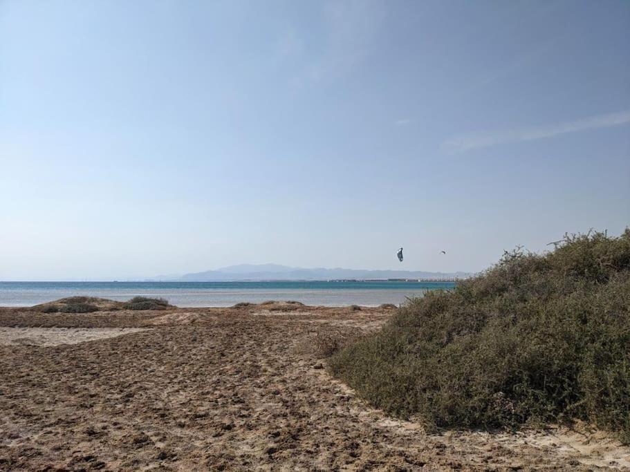 Modern Beachfront 1br Loft With Garden In Somabay *