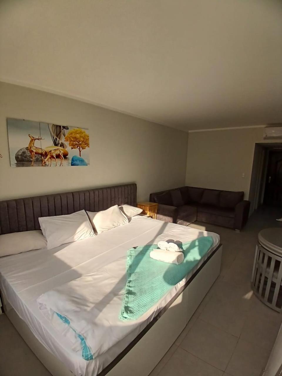 Apartment Scandic