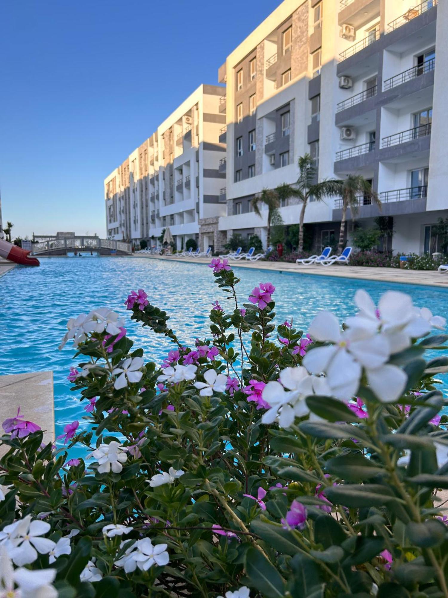 2-bedroom With Pool View In Fanadir Bay With Free And Pool Access