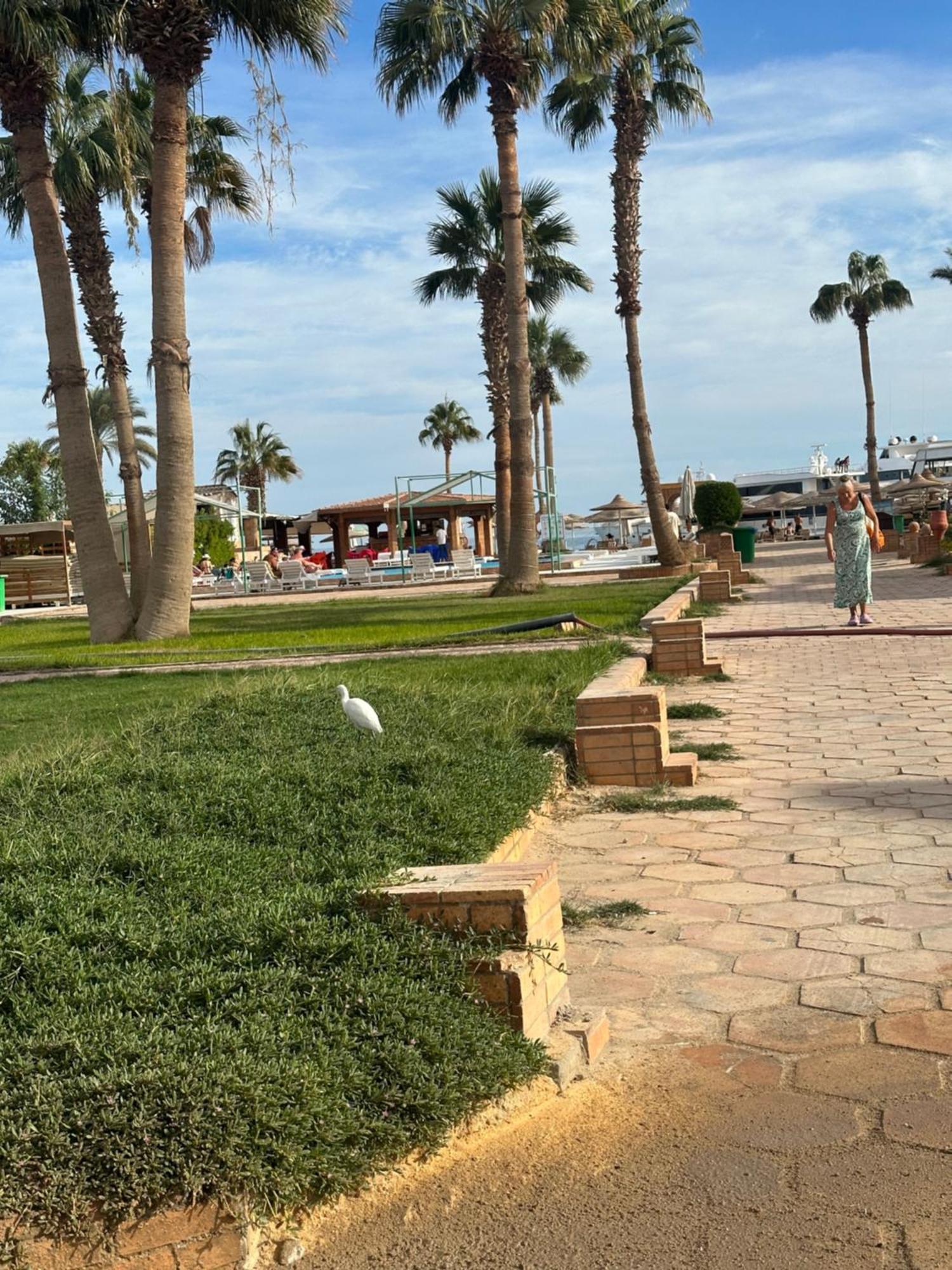 Mashrabiya 4* Hurghada