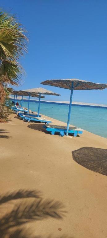 Egypt Traveler Frühstückspension *