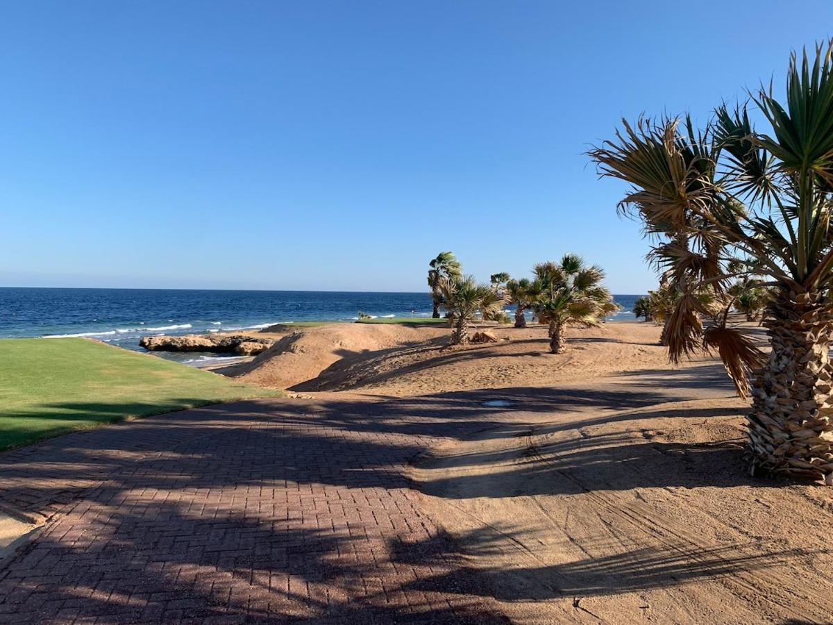 Apartment Soma Bay Fully Furnished 1 Br-soma Breeze *