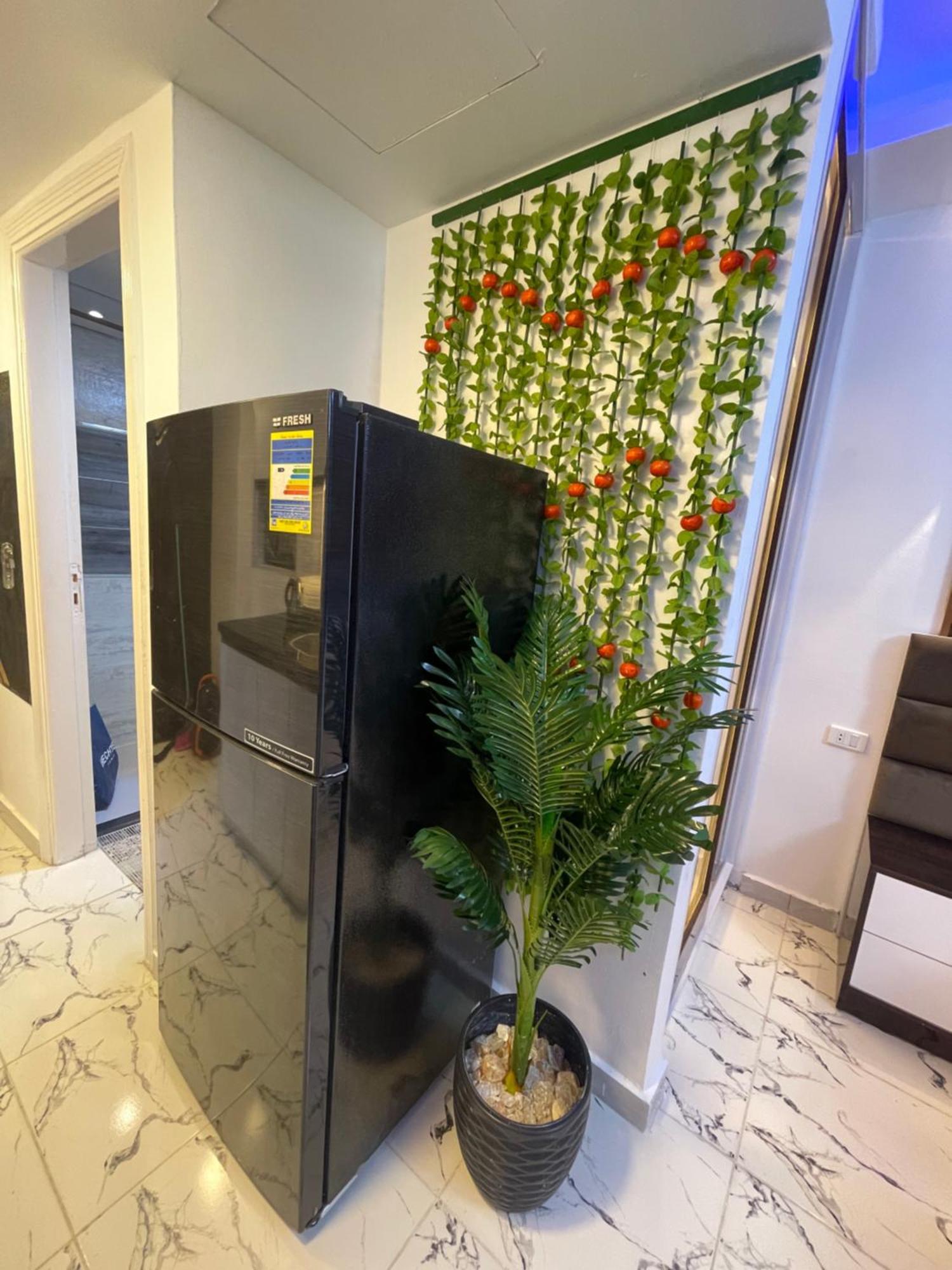 Paradise Free Wi-fi Apartment