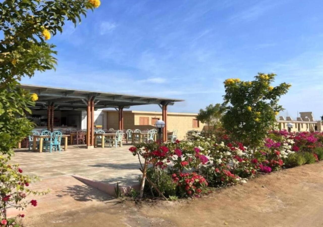 With Seaview, Amazing For Couples, Sunny & Seaview & Free Wi-fi Apartamento *