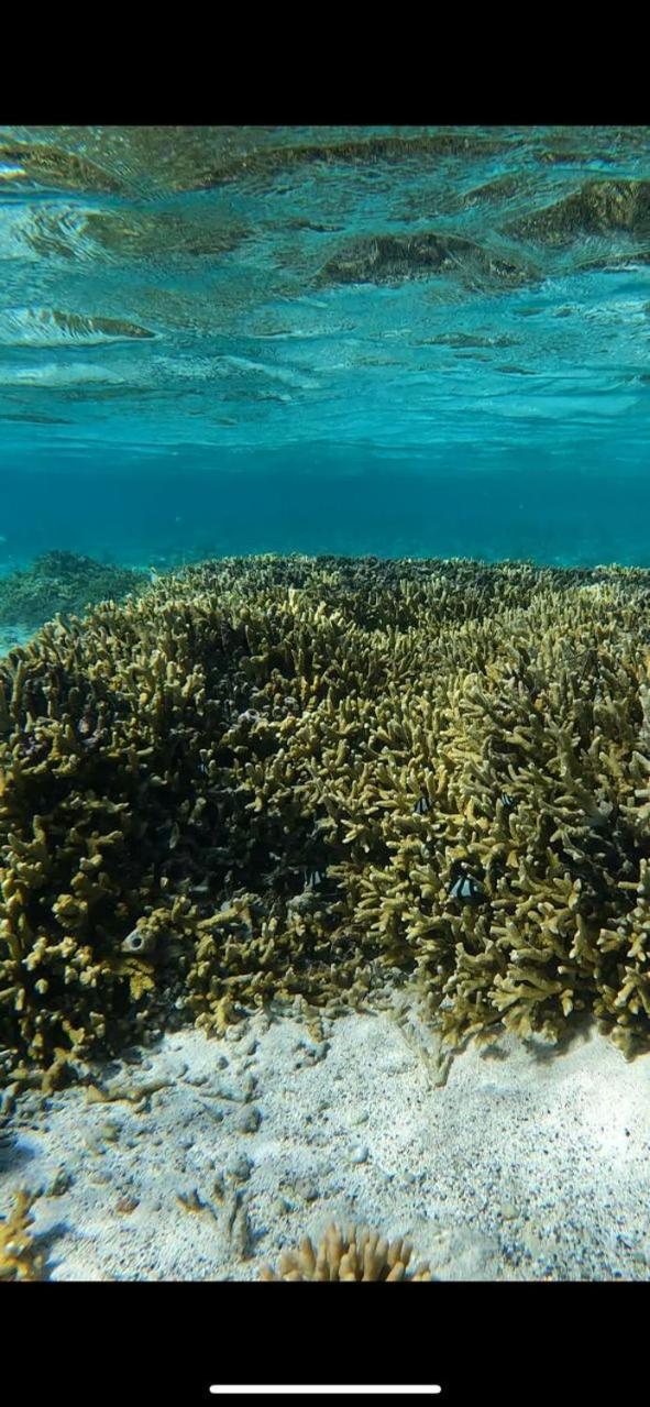 Shams El Bahr * Hurghada