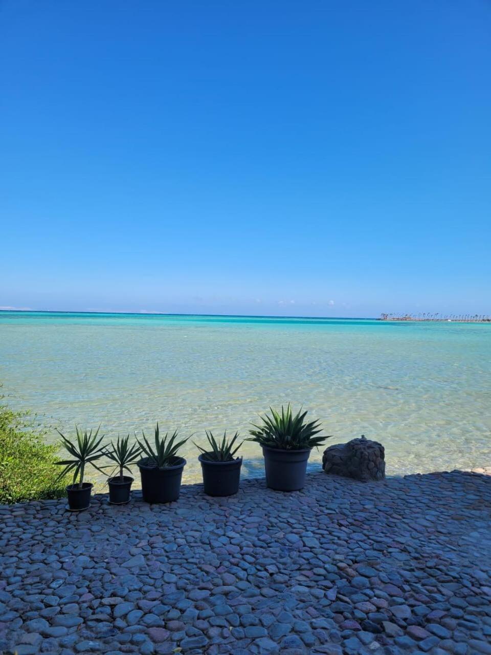 Extraordinary Apartment, Sea Access In * Hurghada
