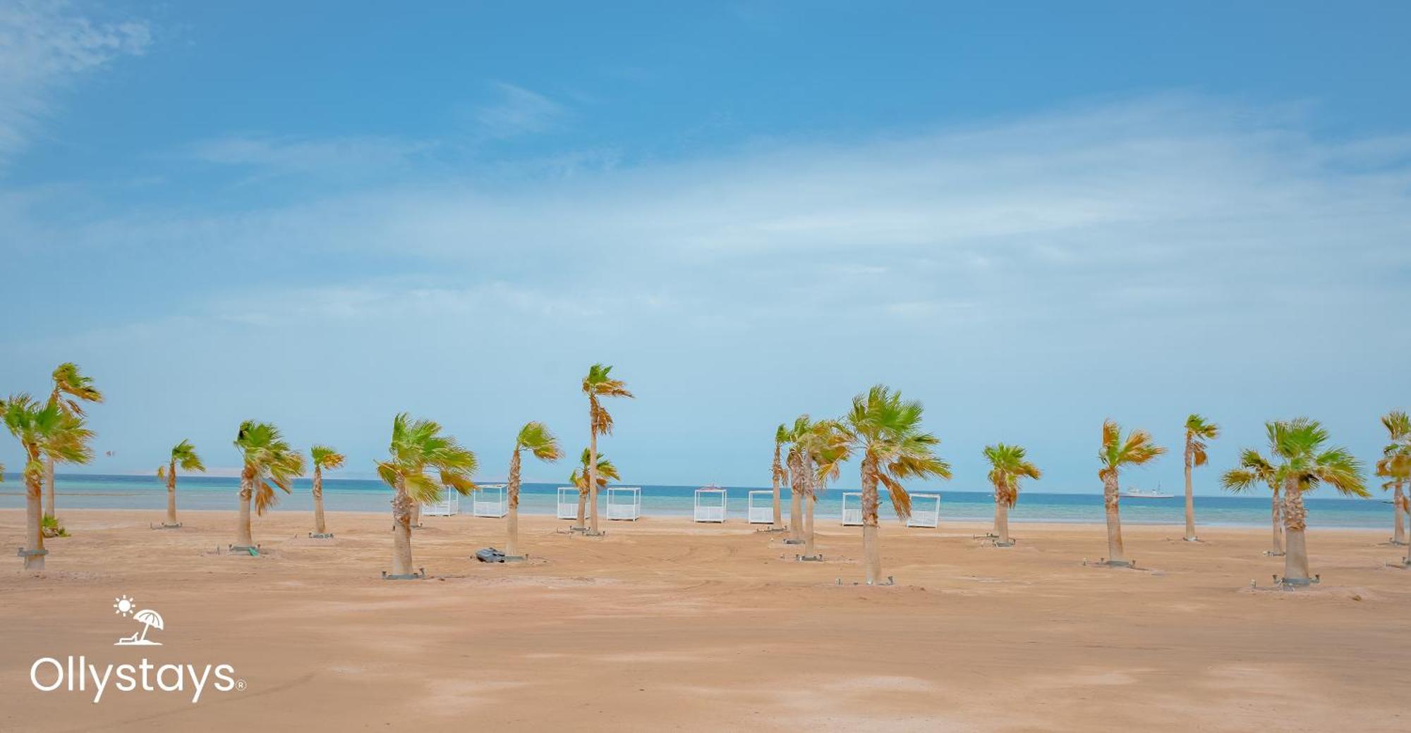 Ollystays Mangroovy Seaview 2br And Pool Free Access