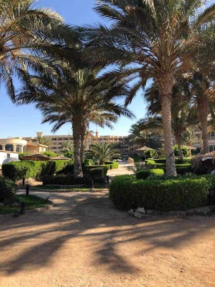 Palma Hurghada