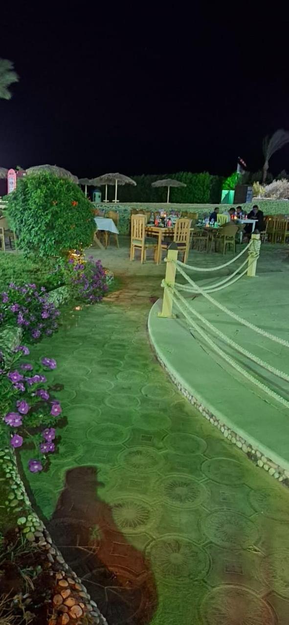 Resort Royal Serviced 4*