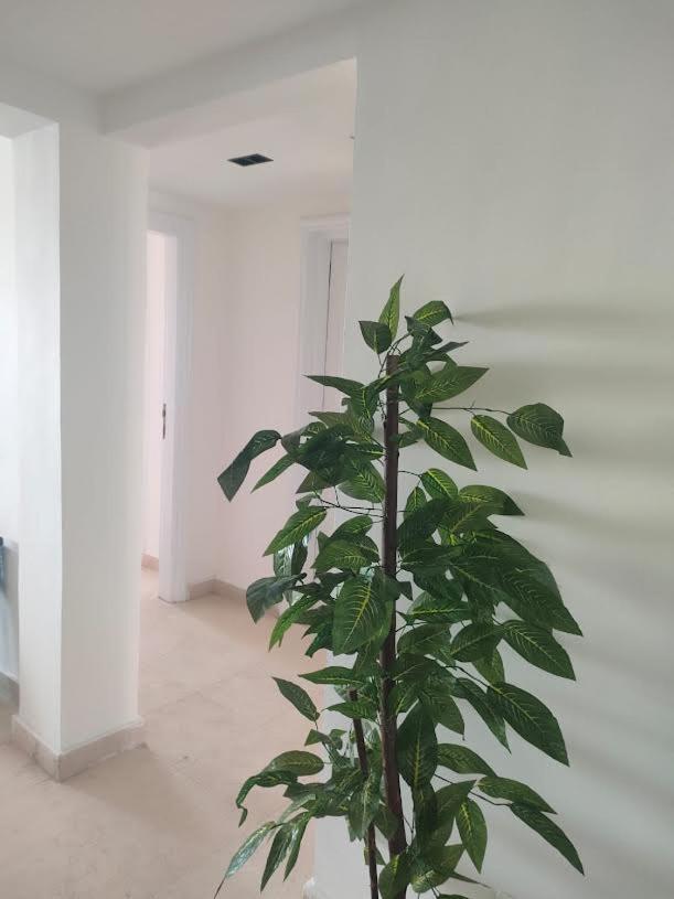 Comfort Marine 2 Apartment *