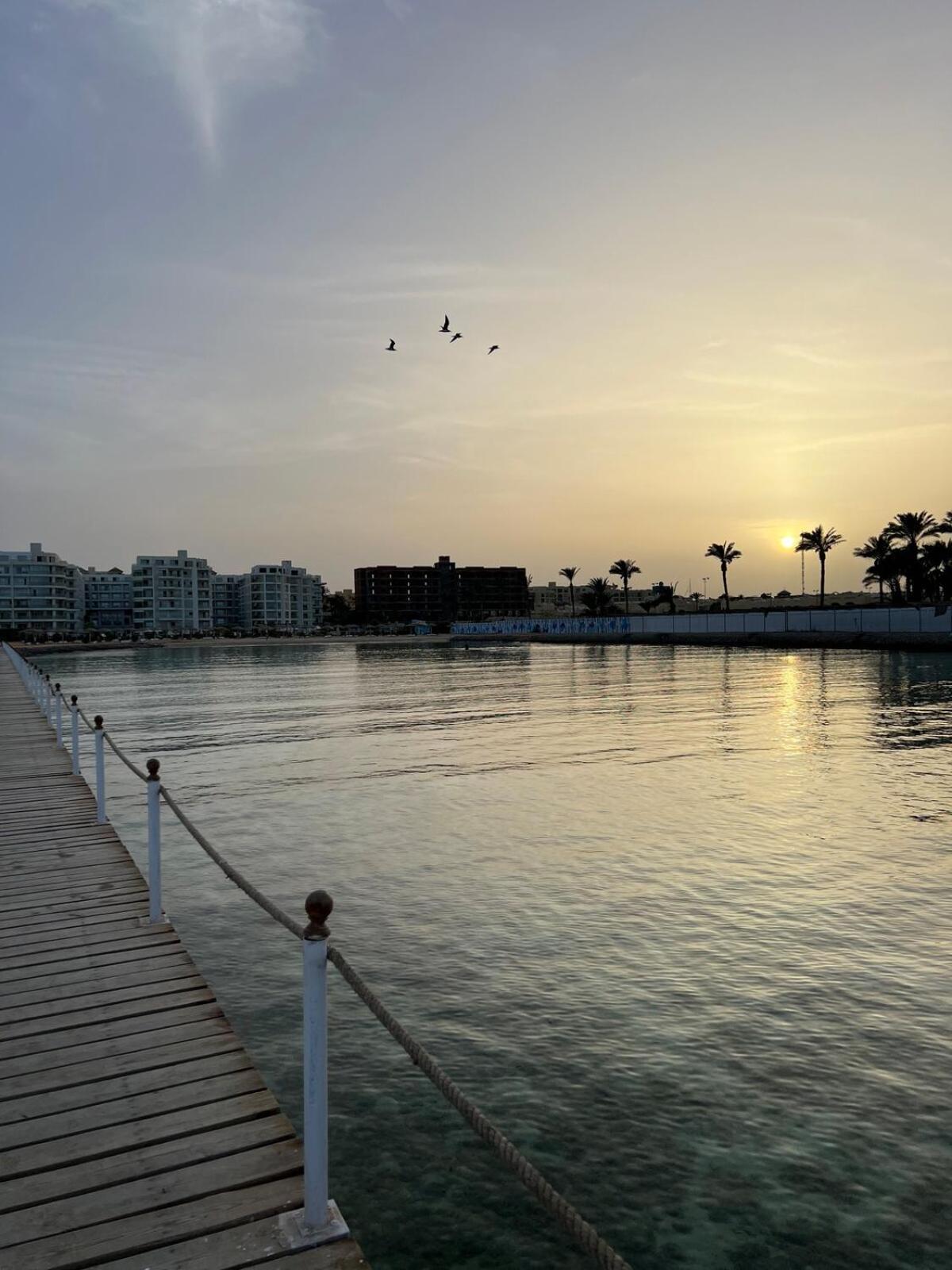 Modern Seaview In Scandic *