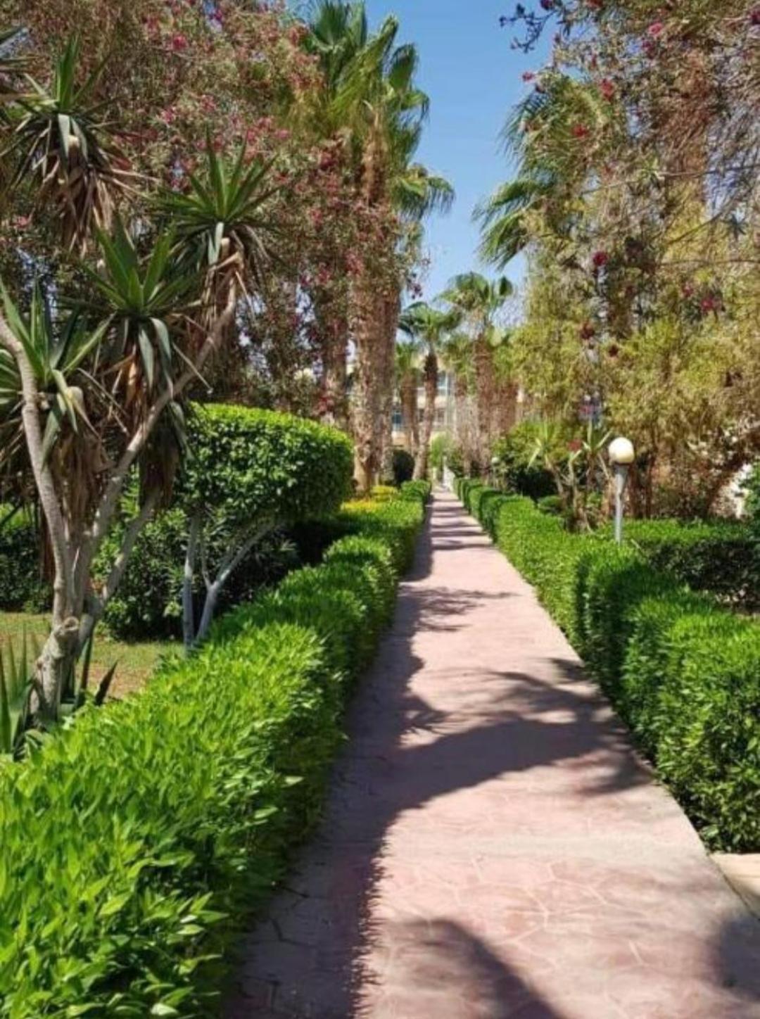 Aparthotel Lilyland & Waterpark Hurghada