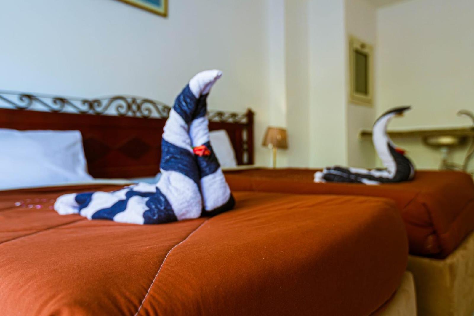 Resort Fox House