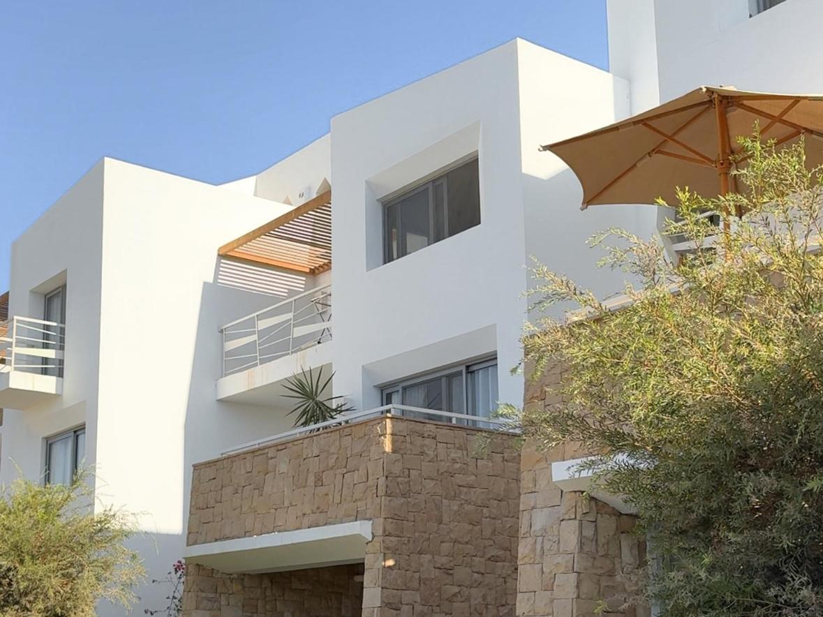 Black Swan Designer In El Gouna, Swanlake *