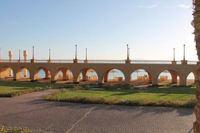 310 El Andalous