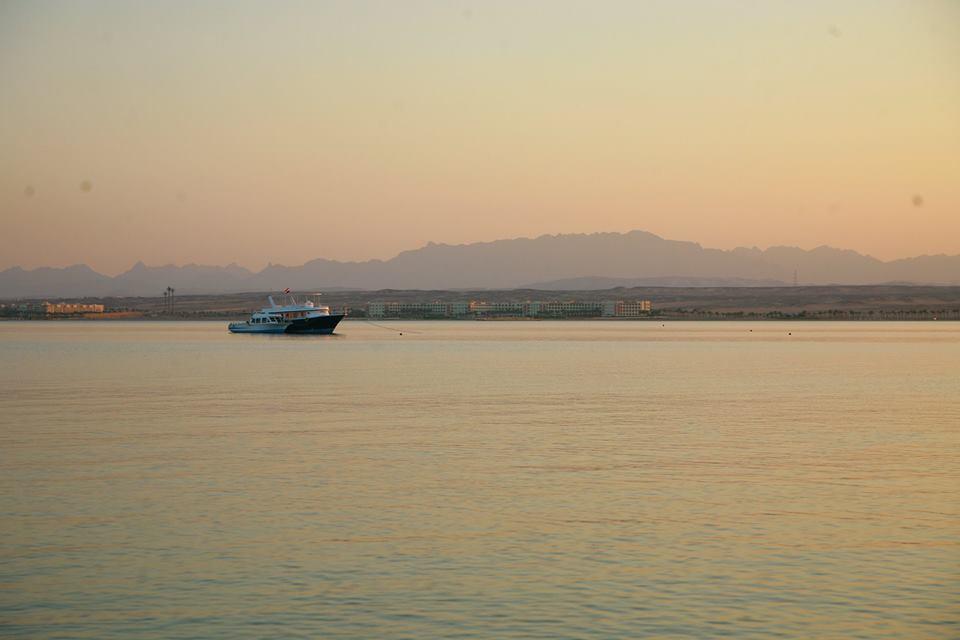 310 El Andalous