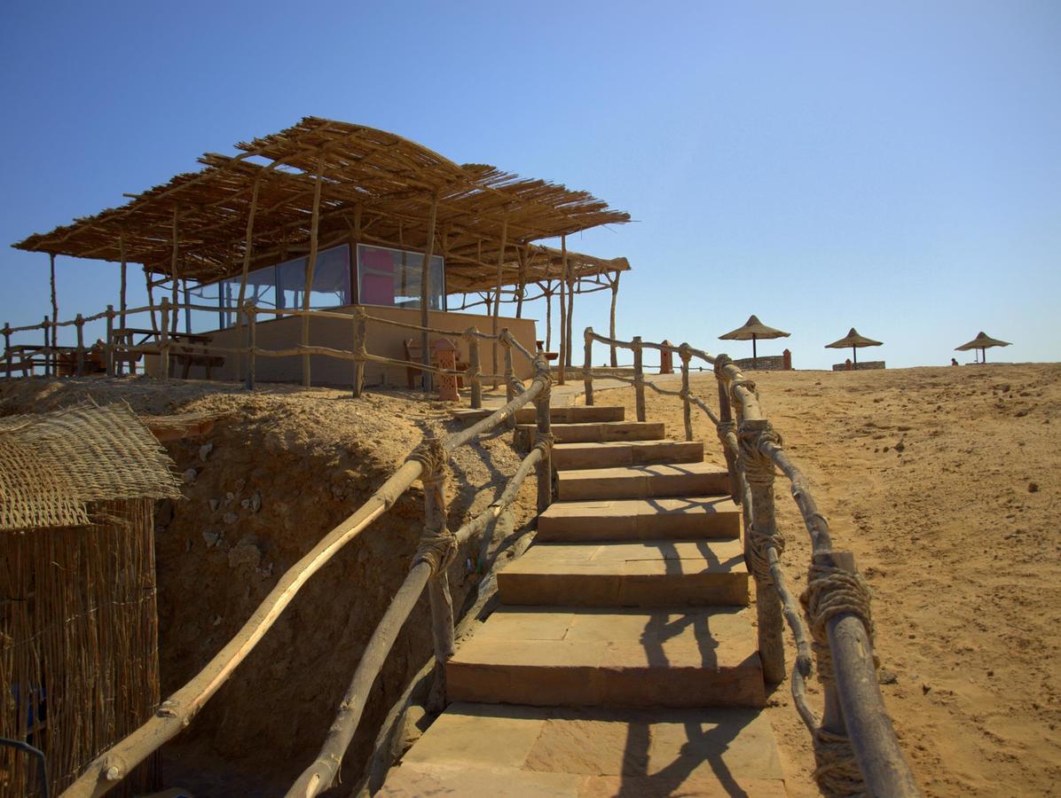 Viva Blue And Diving Sharm El Naga (adults Only) Resort