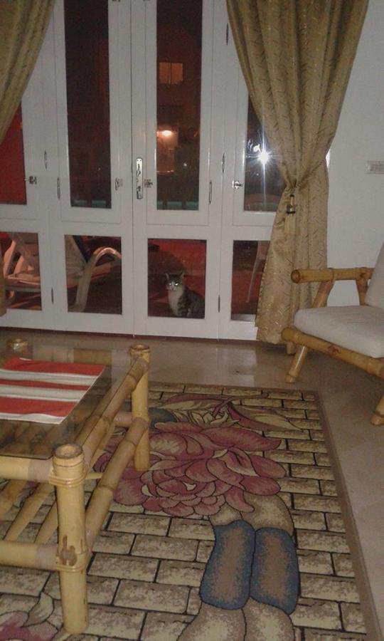 El Gouna Ms Hurghada