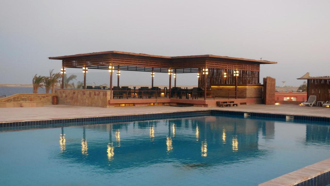 Viva Blue And Diving Sharm El Naga (adults Only) 4* Hurghada