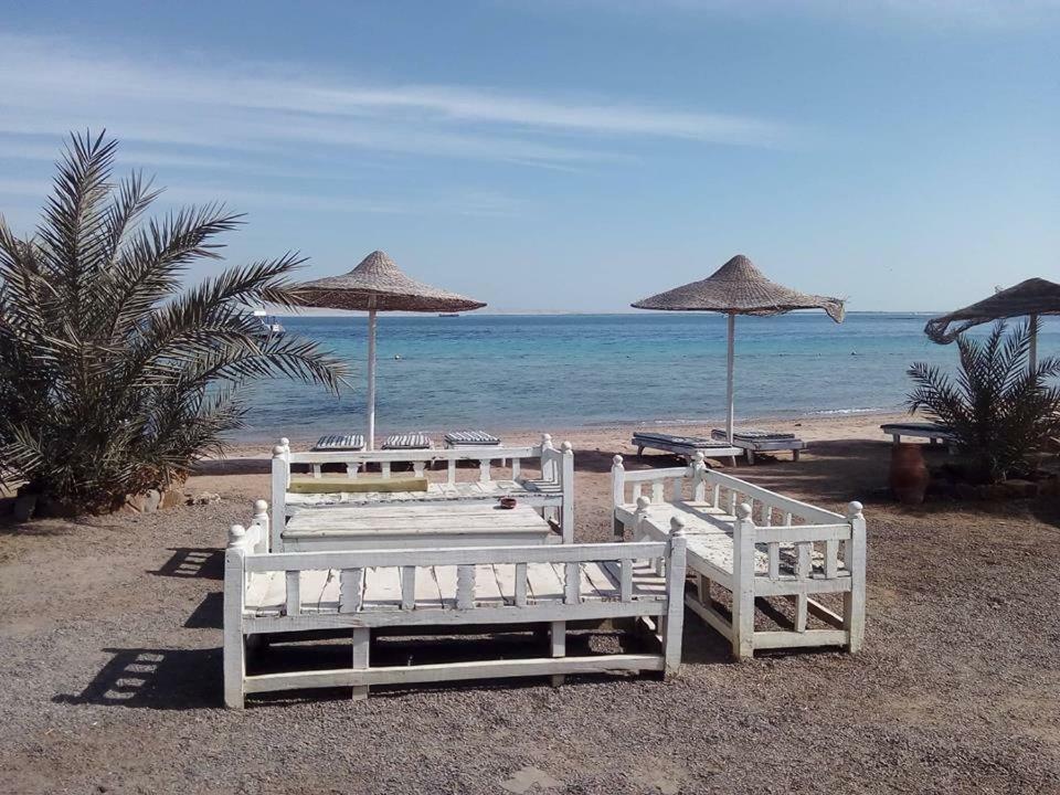 Eva Hurghada