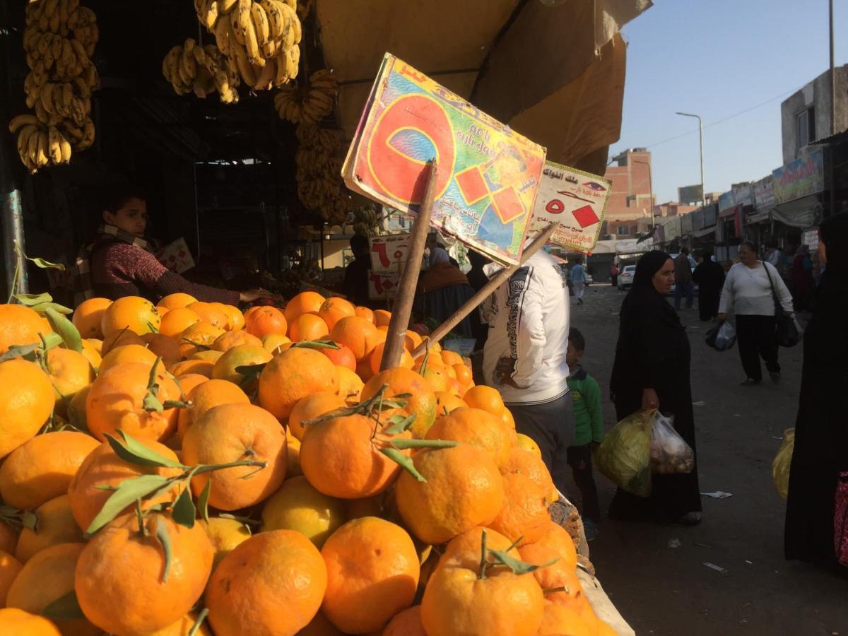 Diamond Arabia Orange