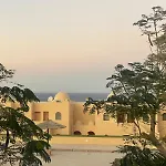 The View