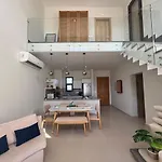 Bright Modern Brand New Shedwan Th