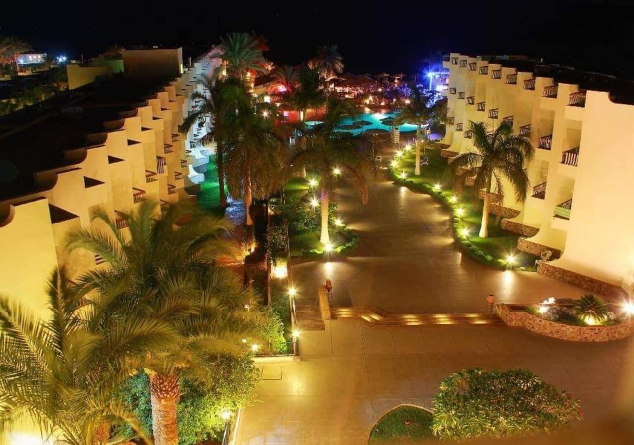 Palm Families And Couples Only Station touristique 4*