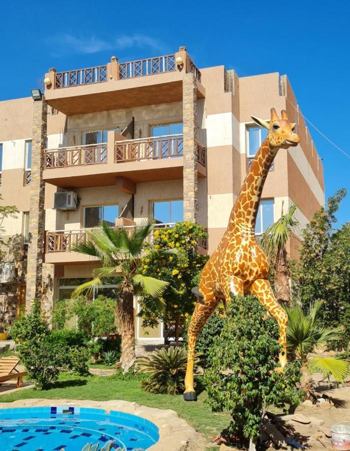 Apartment 1 Bedroom In Jungle Club House Nr B 13