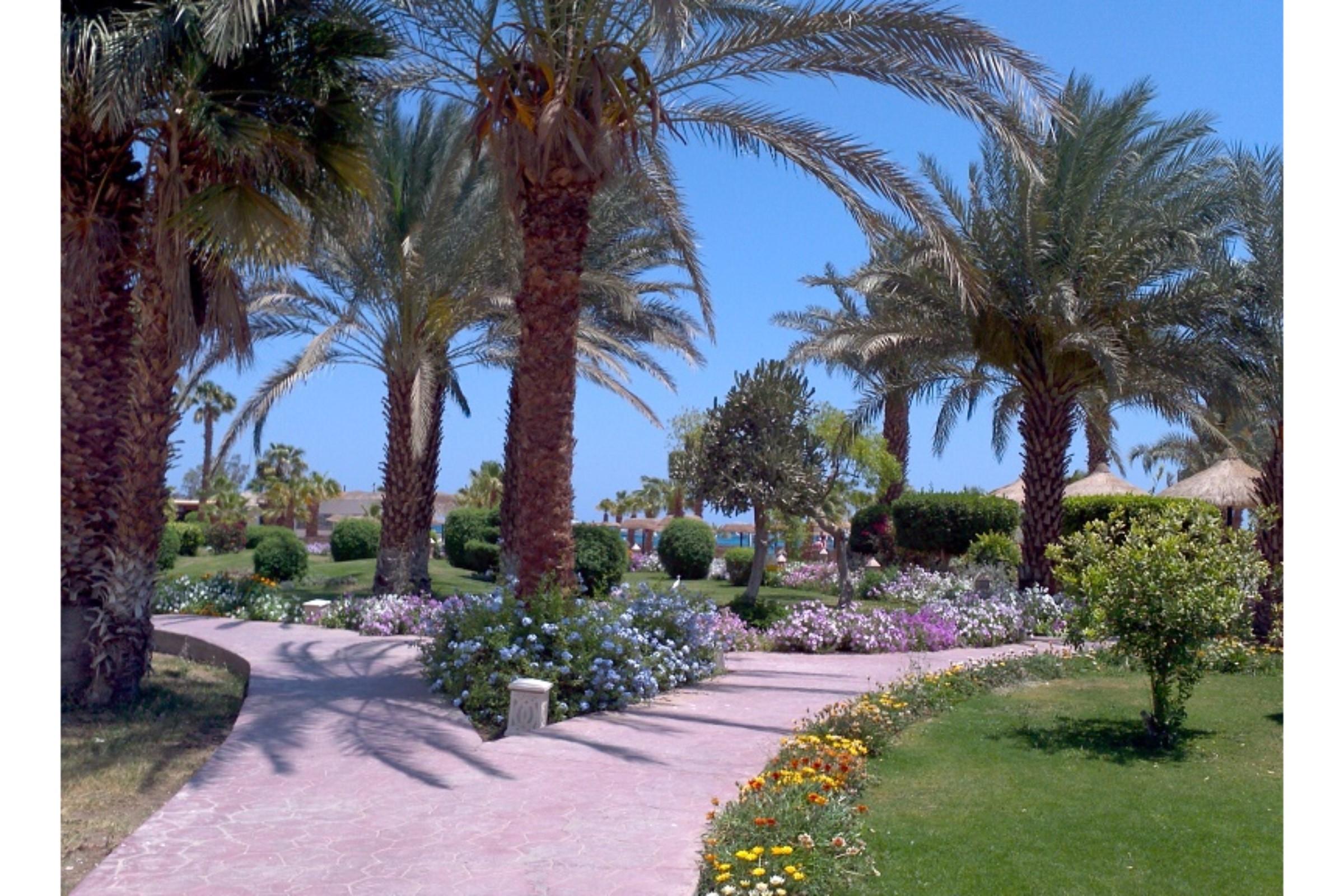 Lotus Bay Hurghada