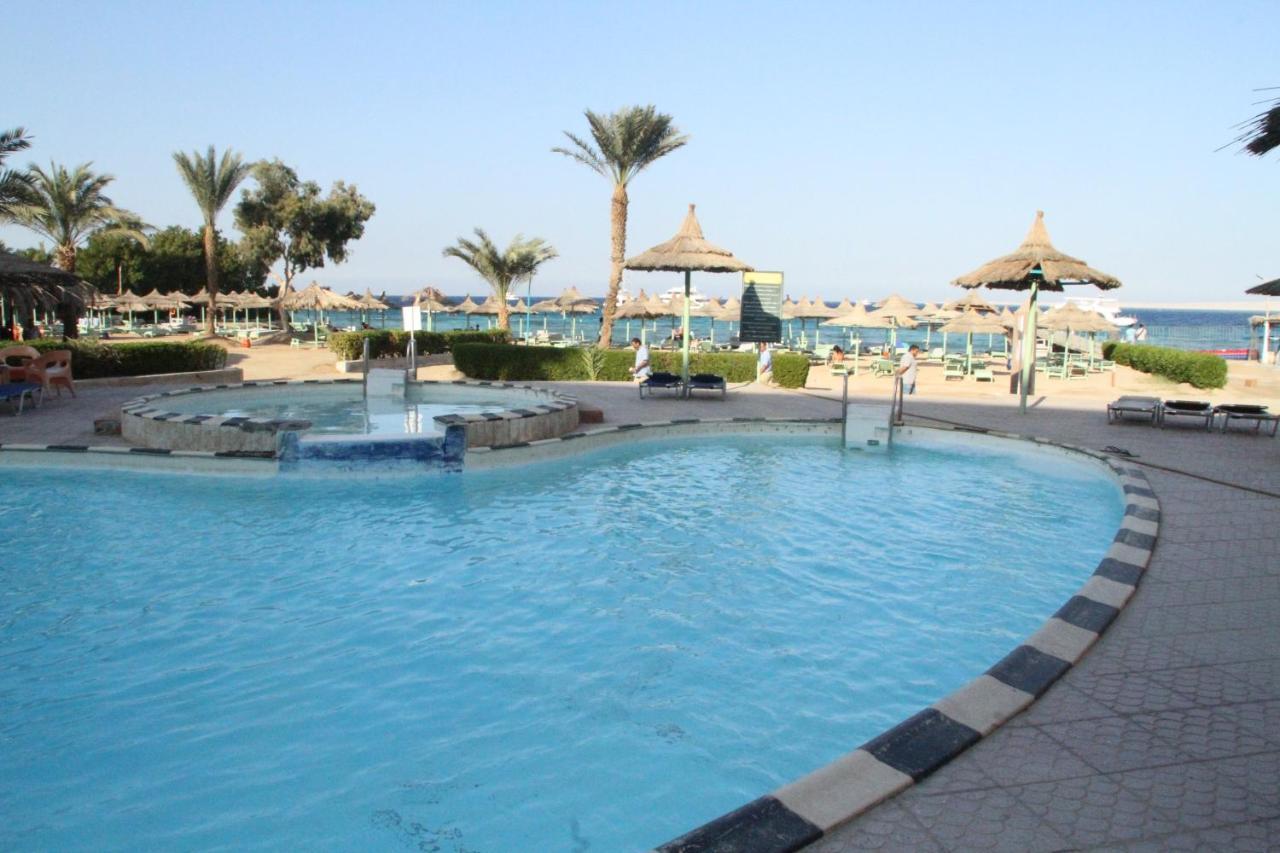 Dexon Roma Hurghada