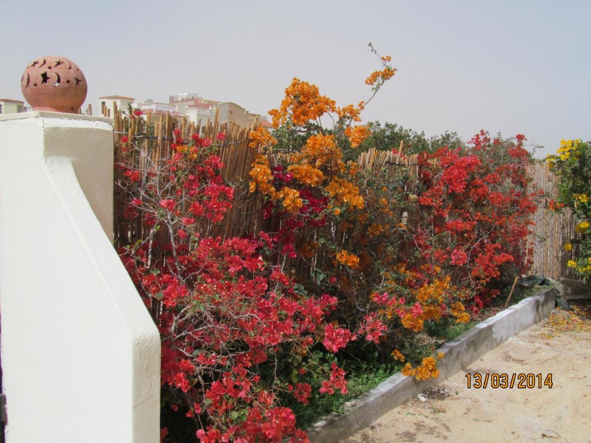 Apartment A Beautiful, Family-owned Penthouse Apartment, Overlooking The Red Sea