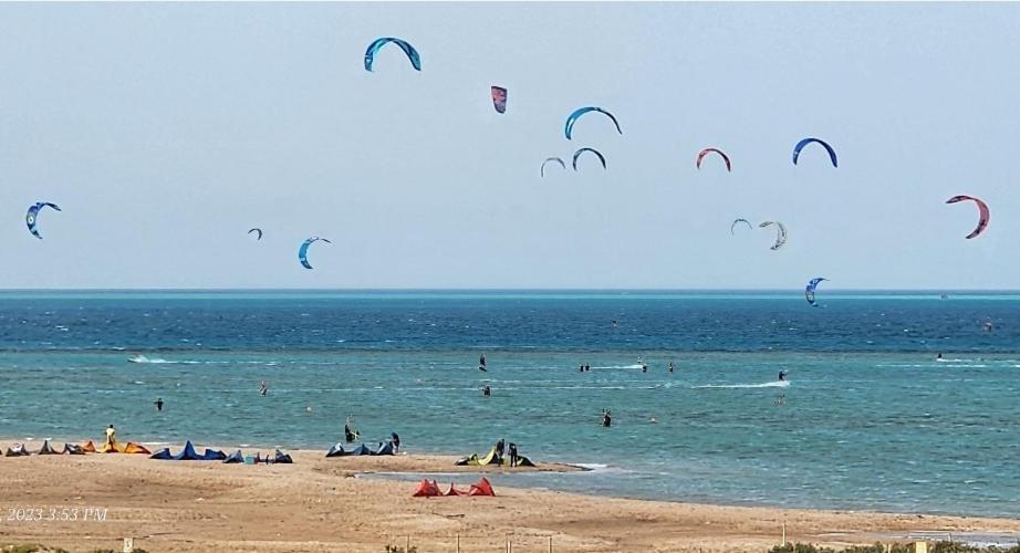 Apartment Mangroovy El Gouna Full Sea View 1 Bedroom El Gouna *