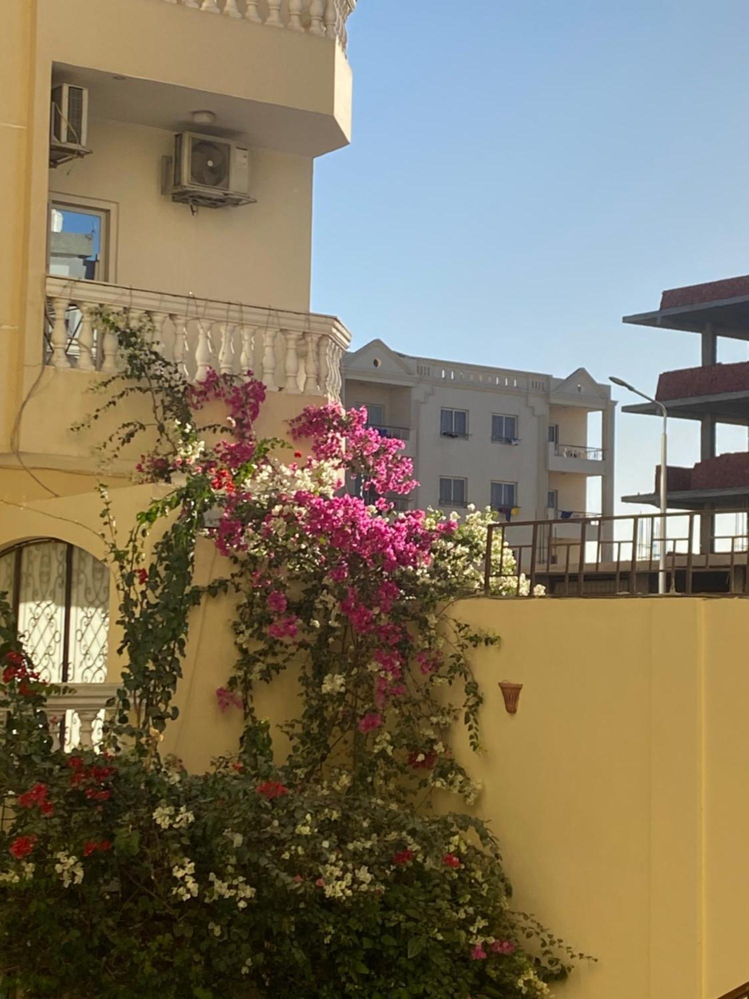 Comfort Zone Hurghada