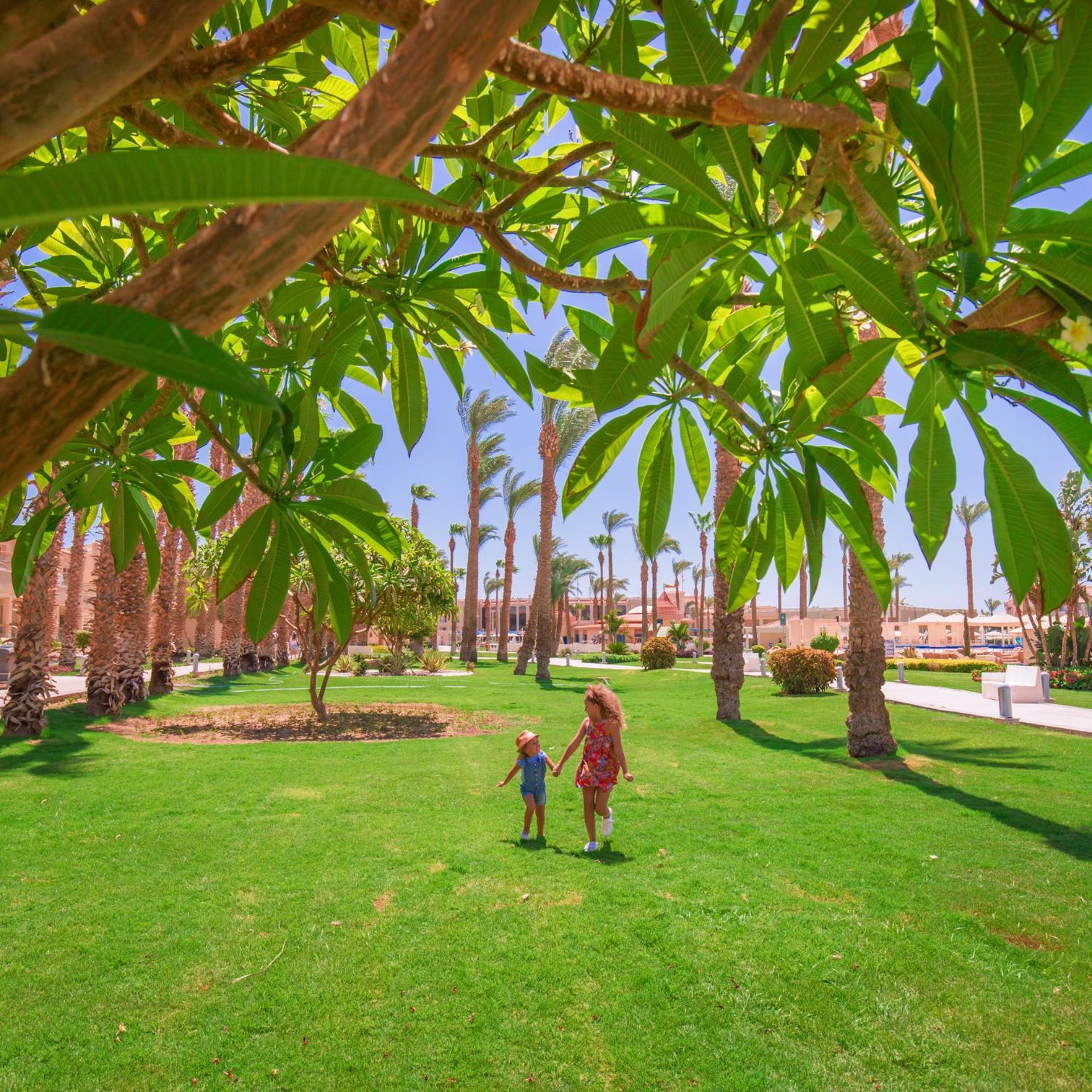 Albatros The Club - Aqua Park Station touristique 4*