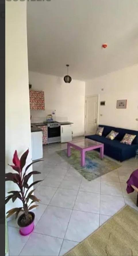 Small House Apartment