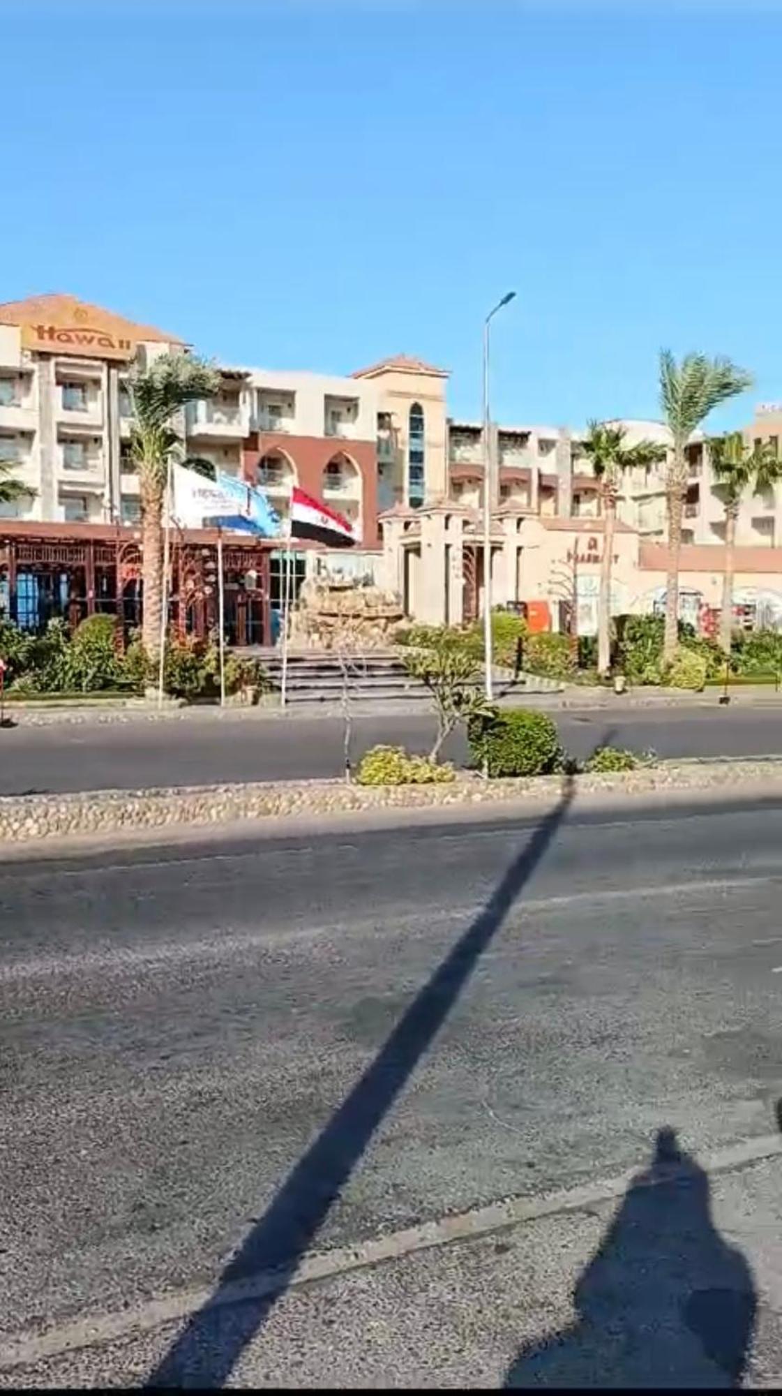 Red Sea View Apartment