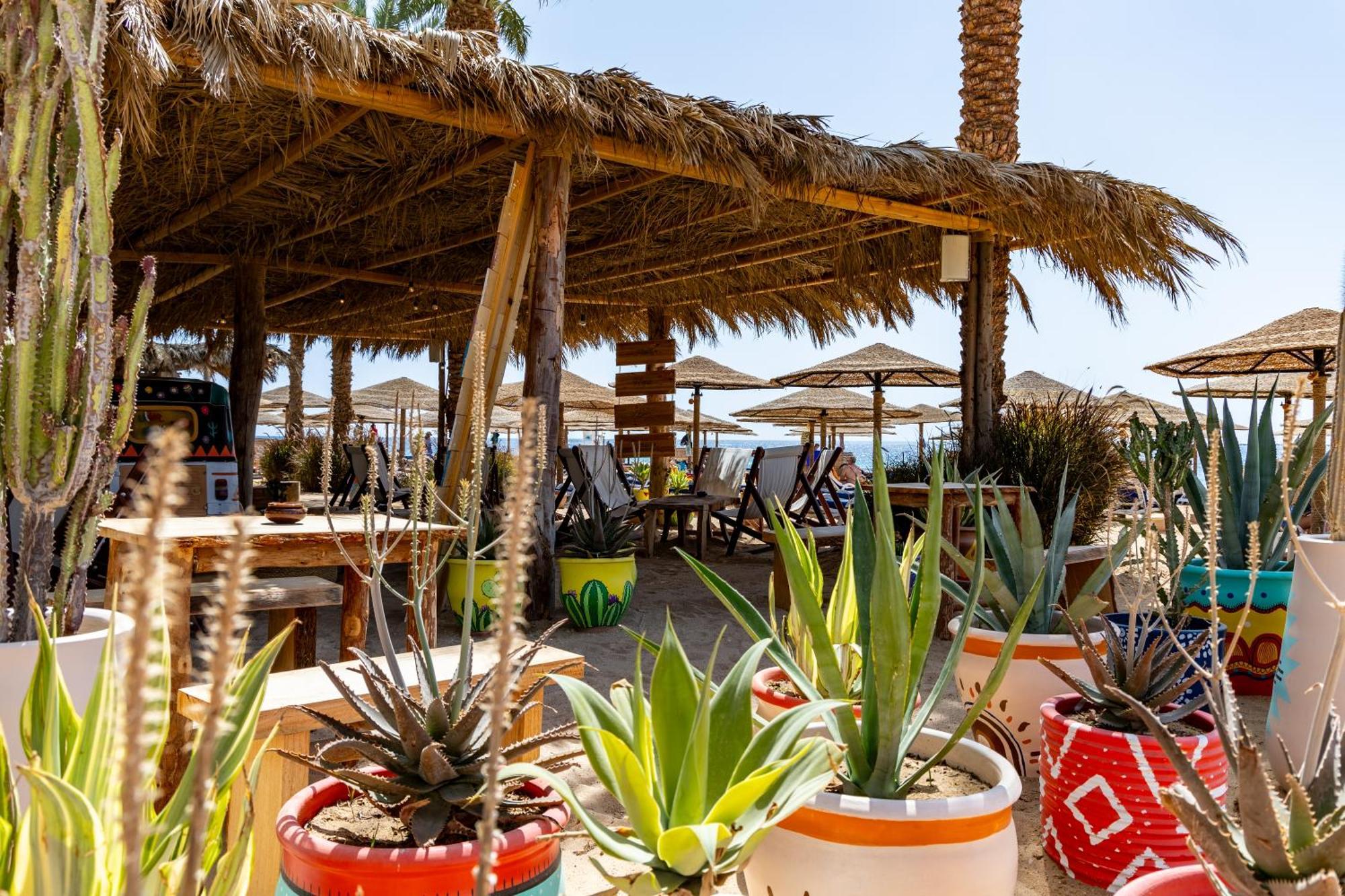 Arabesque Resort, Spa&villas 4* Hurghada