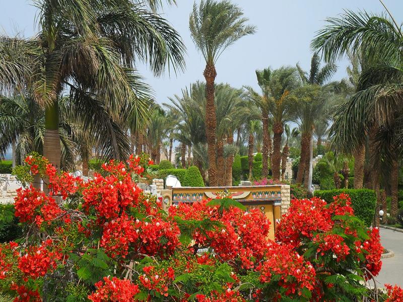 Jasmine Village 3*