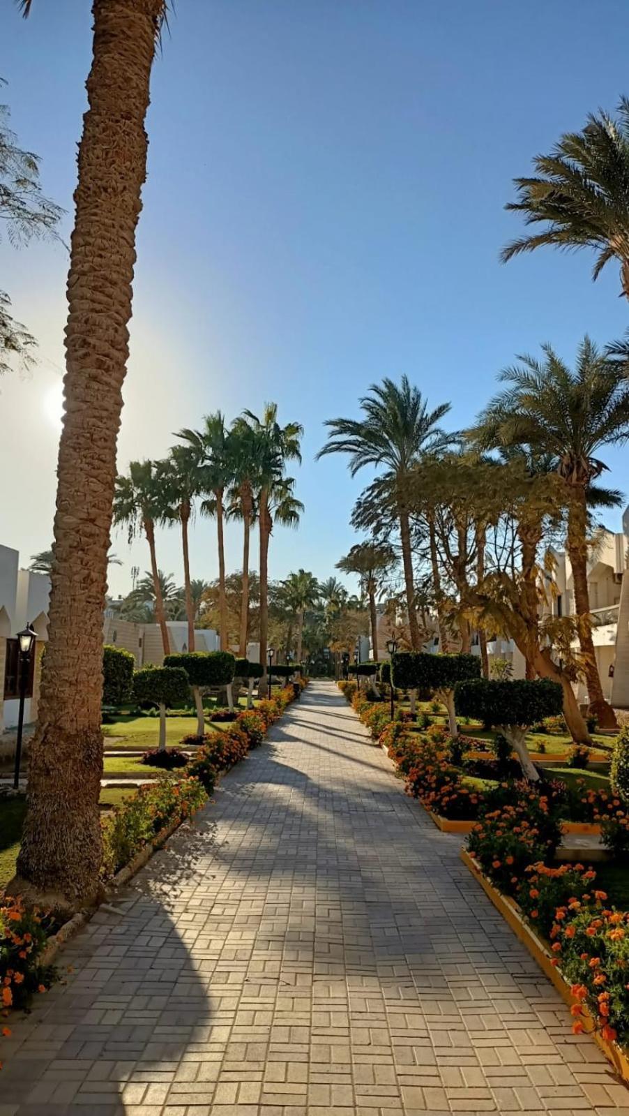 Zya Regina And Aqua Park Station touristique Hurghada